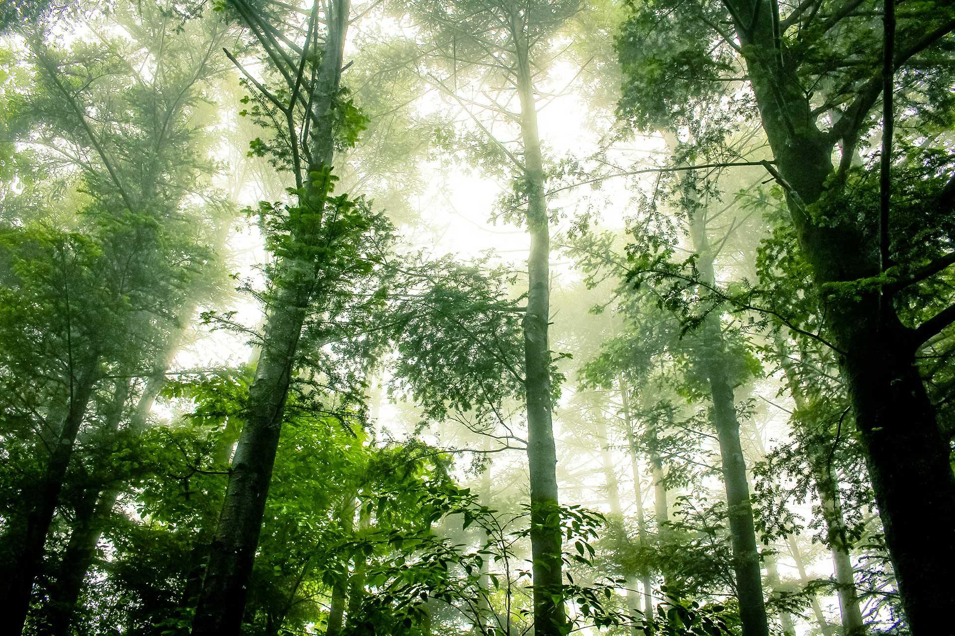 Gentle Rituals for Creating Sanctuary