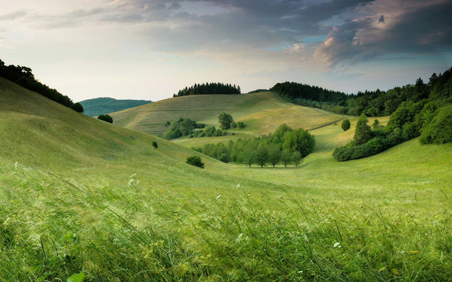Digital Detox in Nature: Reclaiming Presence in a Busy World