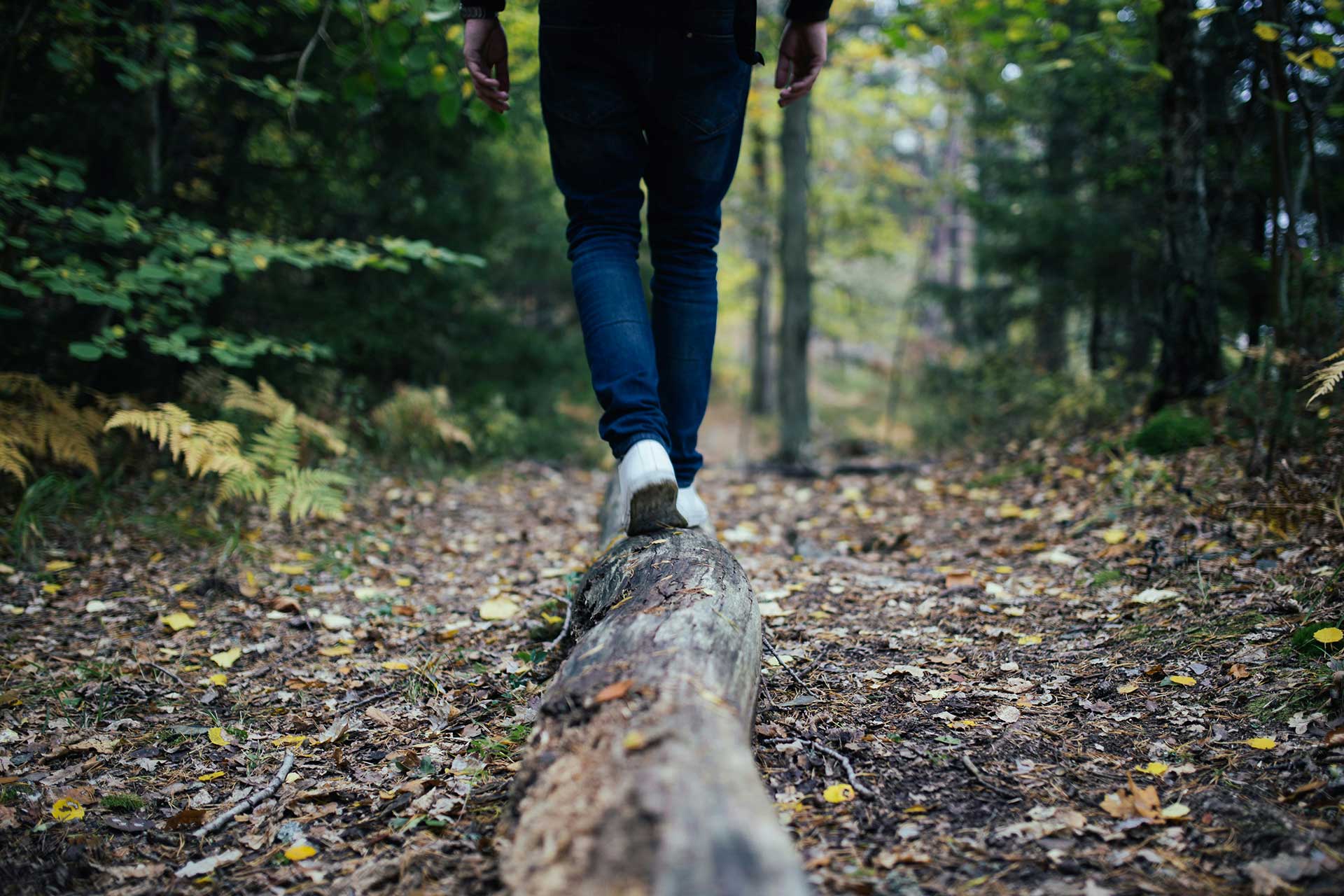 The Restorative Power of Walking in Nature