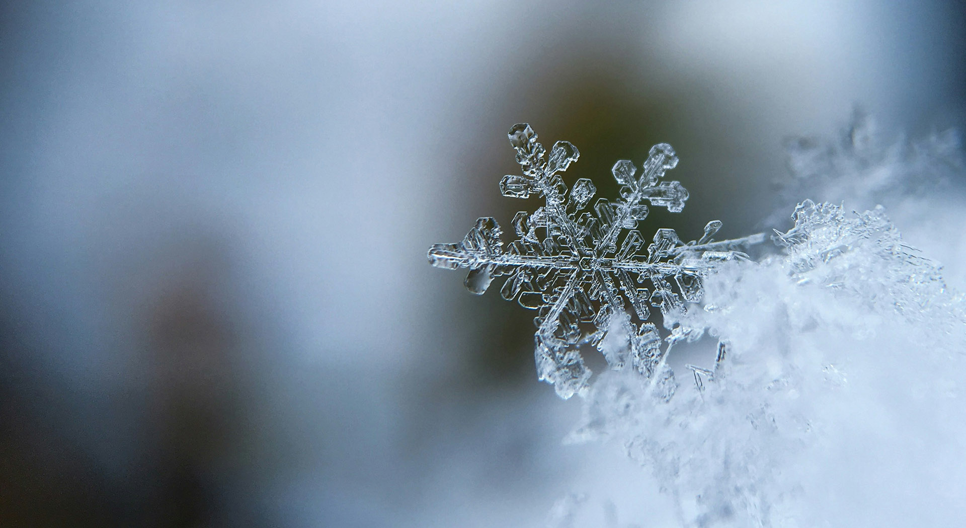 The Wisdom of Winter: Learning to Rest and Restore